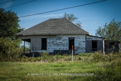 Abandoned Farm House West of Sherman, Texas